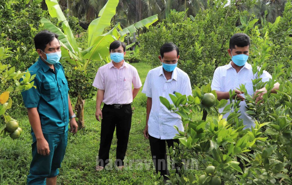 Trà Vinh: Phòng Giao dịch Ngân hàng CSXH huyện Tiểu Cần: 20 năm đồng hành cùng hộ nghèo